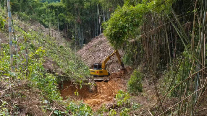 林间“藏龙”，竹海“卧虎”——88858cc永利林业挖机广西侠客行